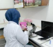 Rashidatu Abdulazeez in Drosophila laboratory, Ahmadu Bello University Zaria